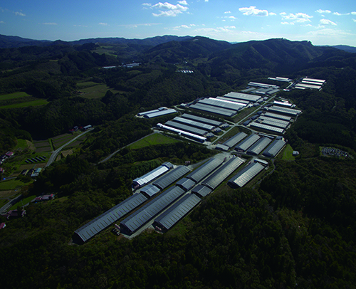 藤沢牧場の写真